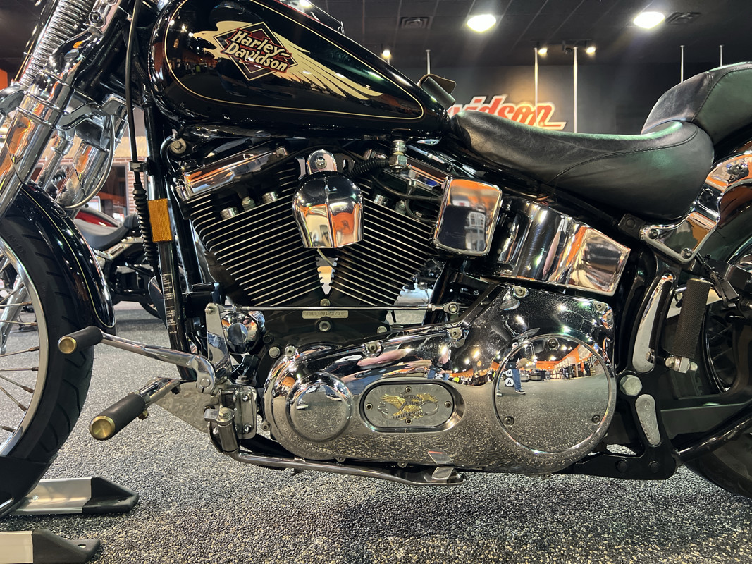 Springer® Softail®