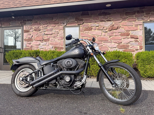 Softail® Night Train®