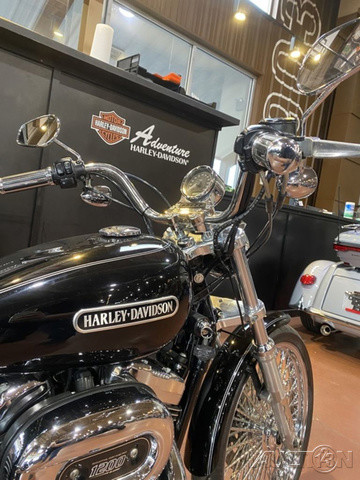 Sportster® 1200 Low