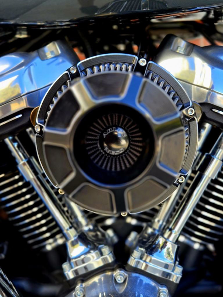 Street Bob®