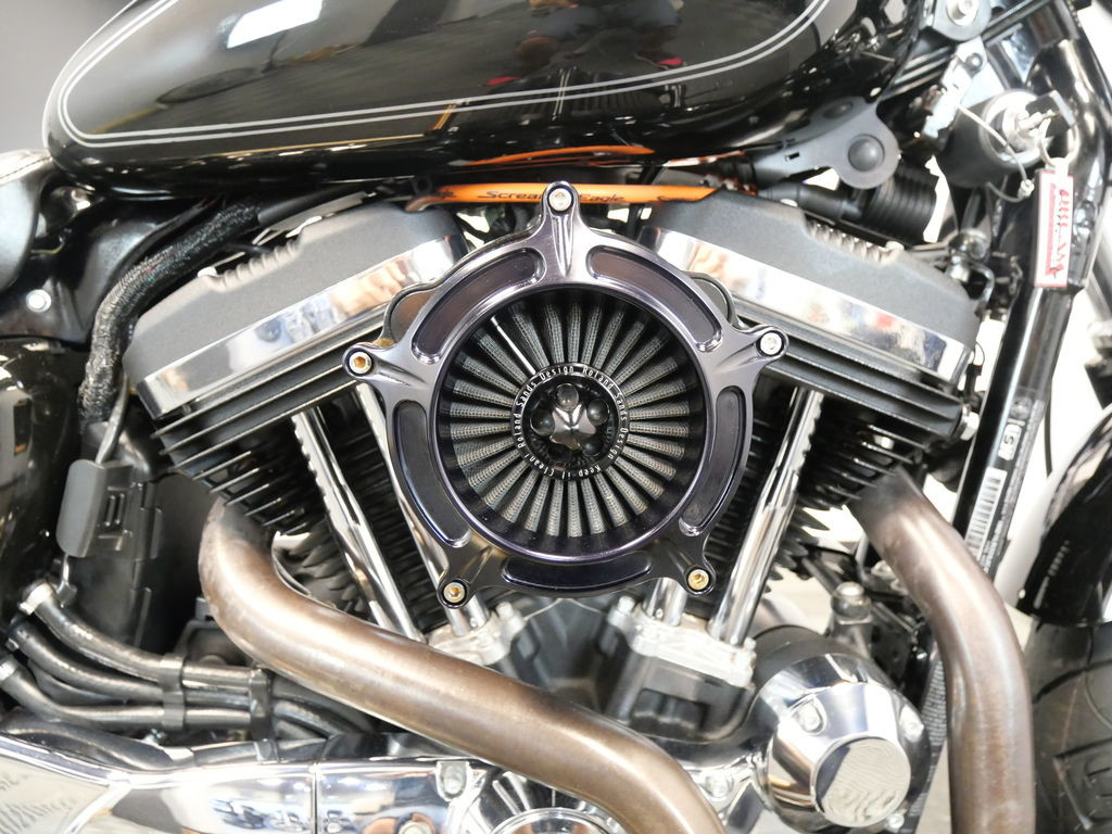 Sportster® Forty-Eight® Special