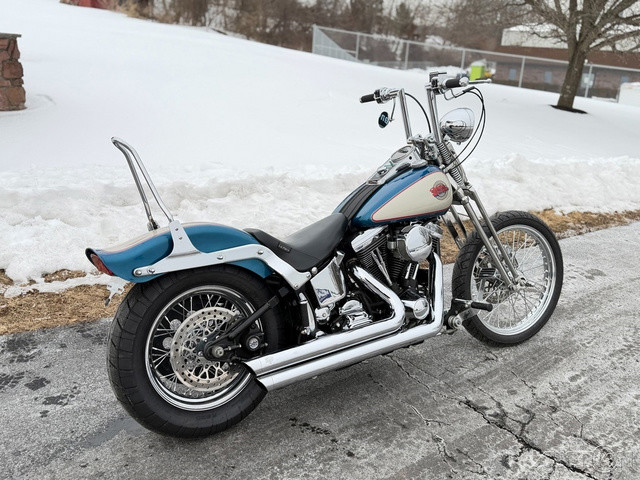 Springer® Softail®