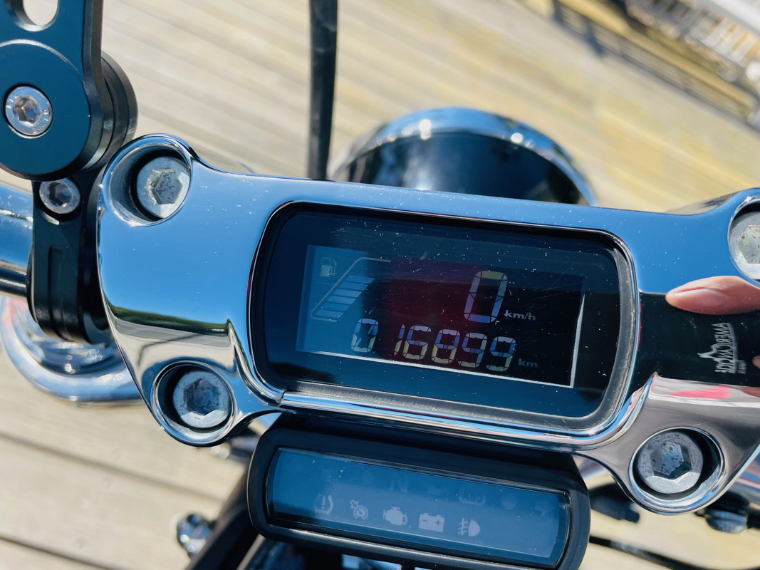 Softail® Standard