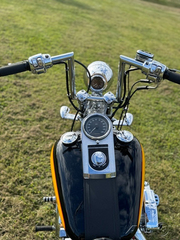 Softail® Springer® 