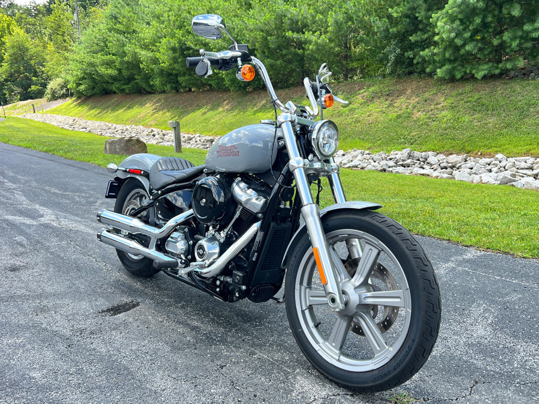 Softail® Standard