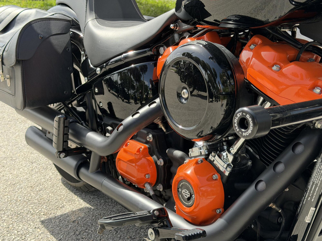 Softail® Standard