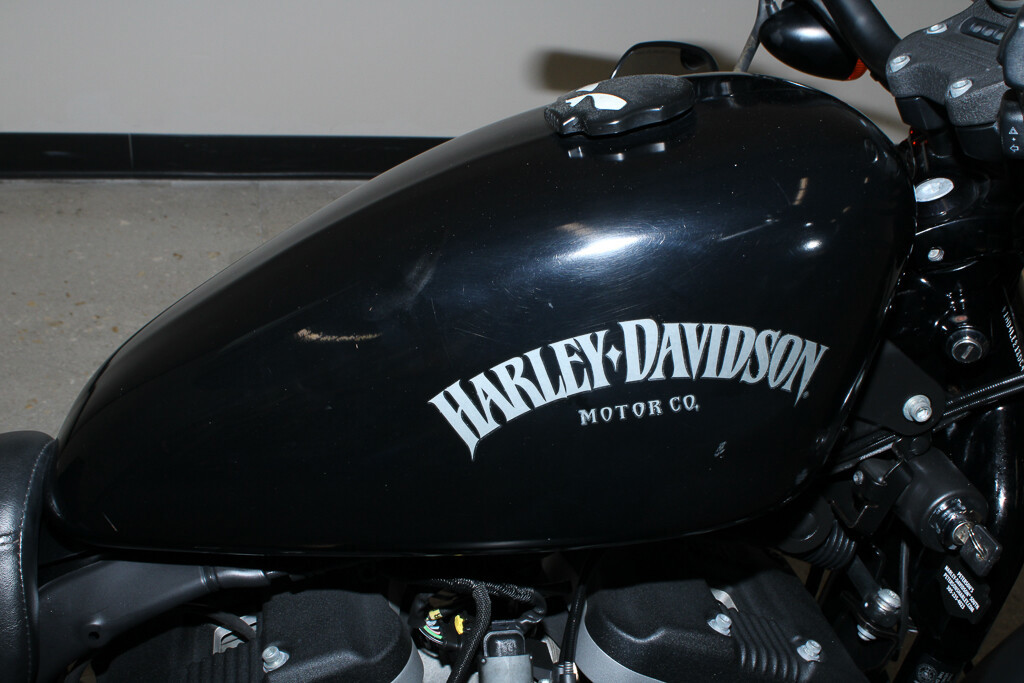 Sportster® Iron 883®