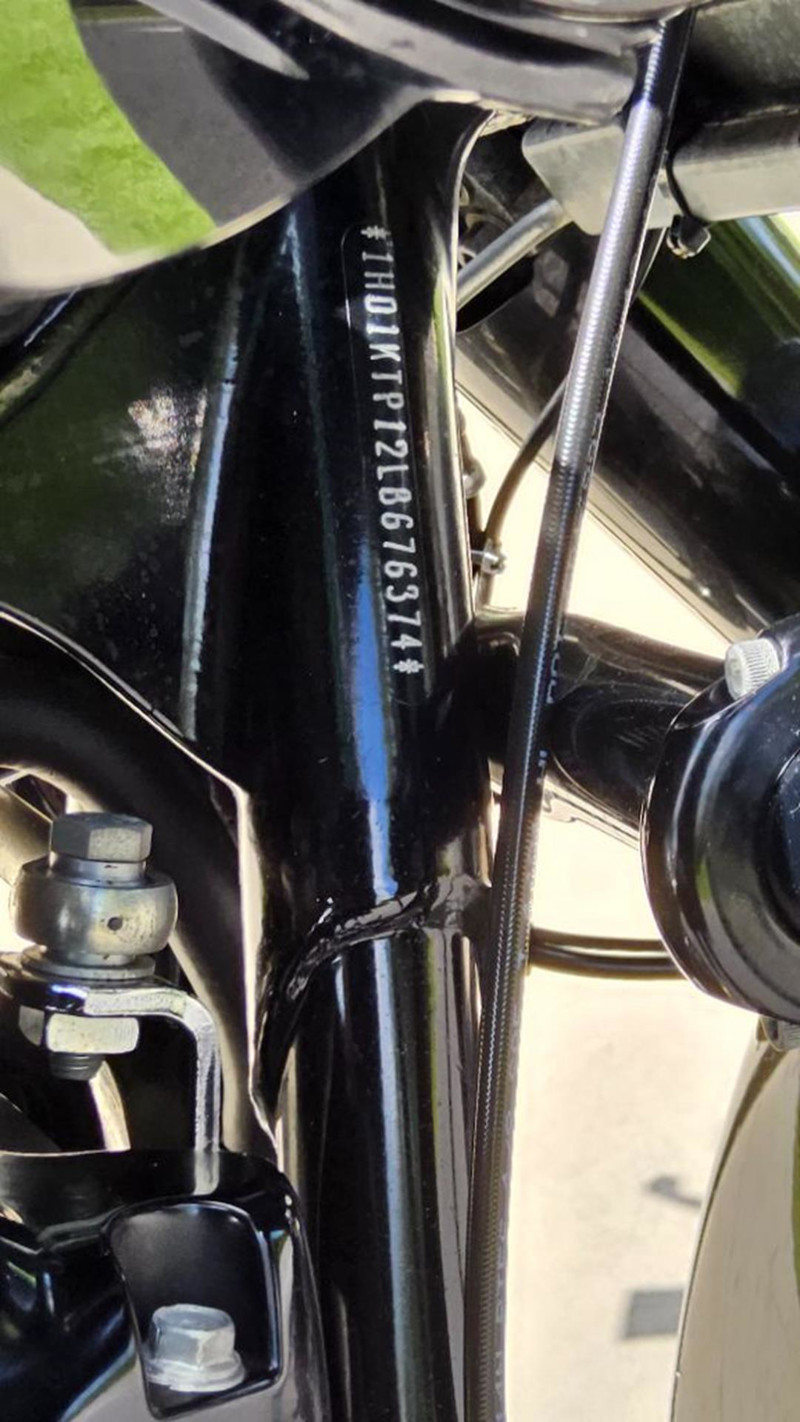 Road Glide® Special