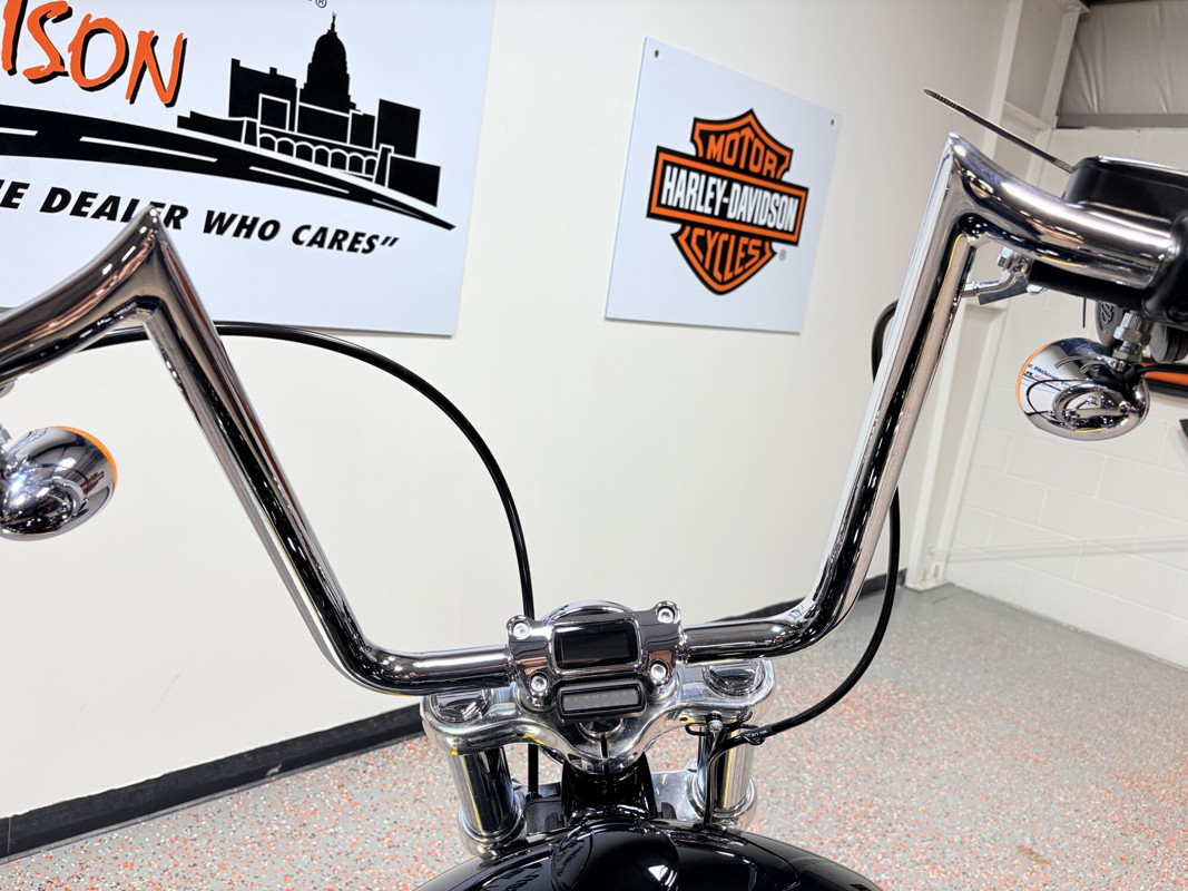 Softail® Standard