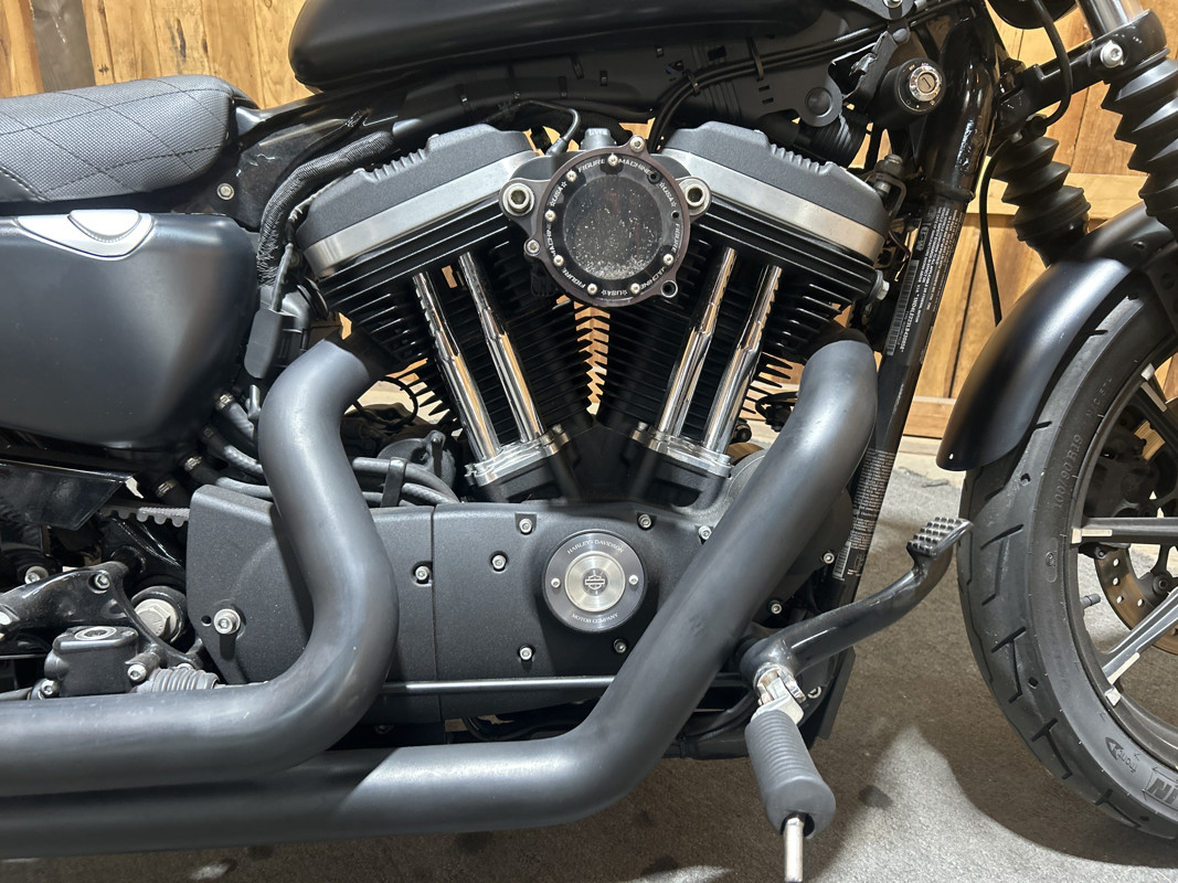 Iron 883®