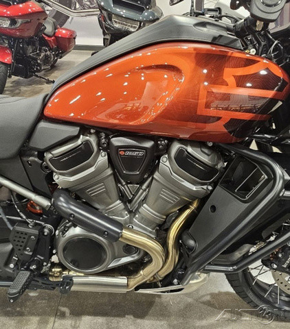 Pan America® 1250 Special