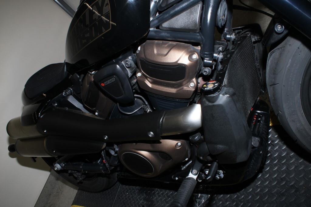 Sportster® S