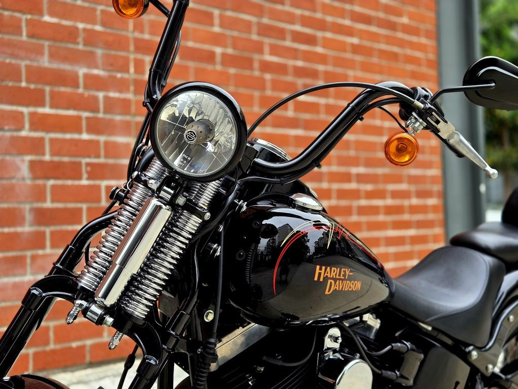 Softail® Cross Bones®