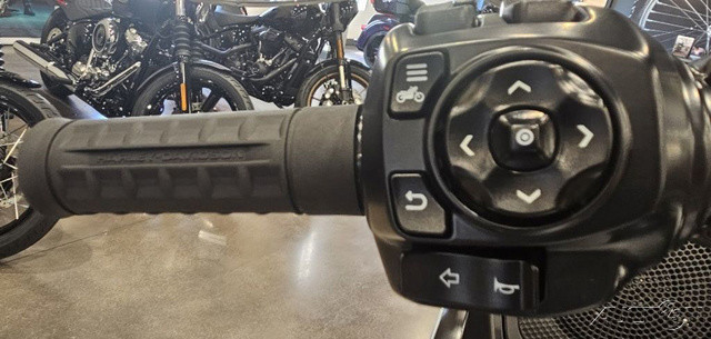 Road Glide®