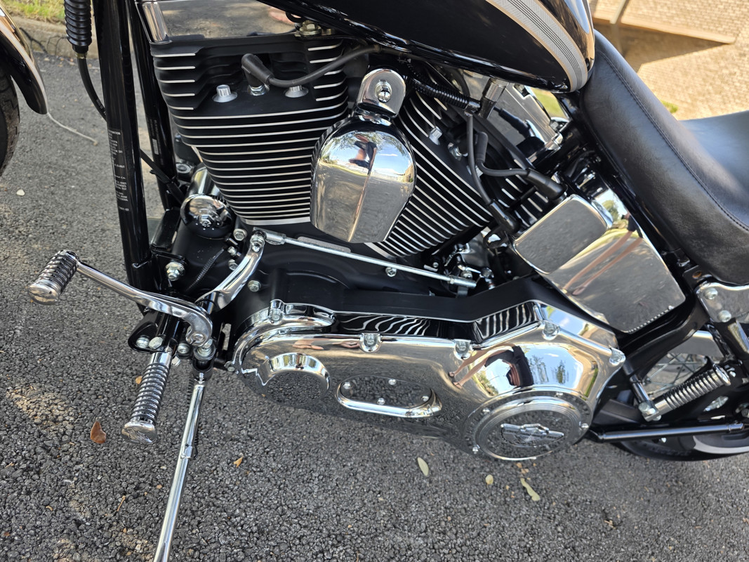 Springer® Softail® Anniversary