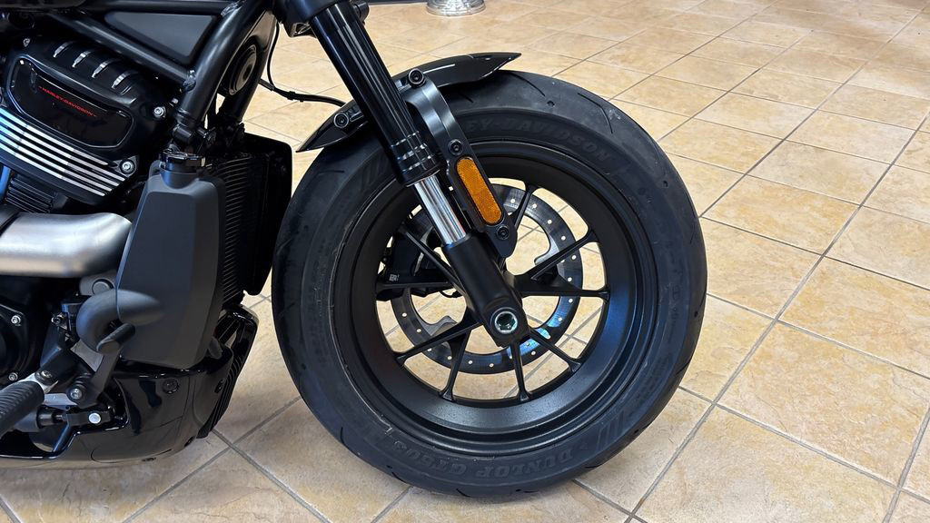 Sportster® S