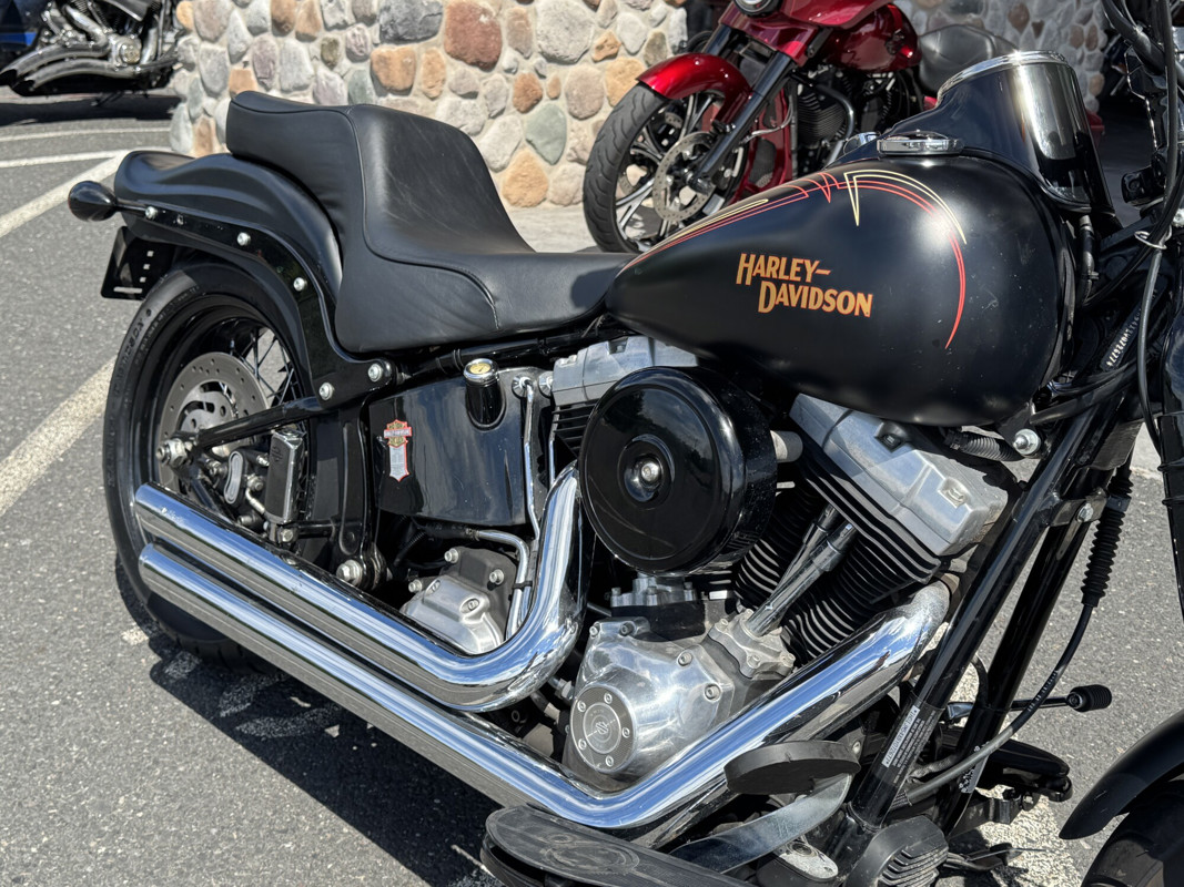 Softail® Cross Bones®