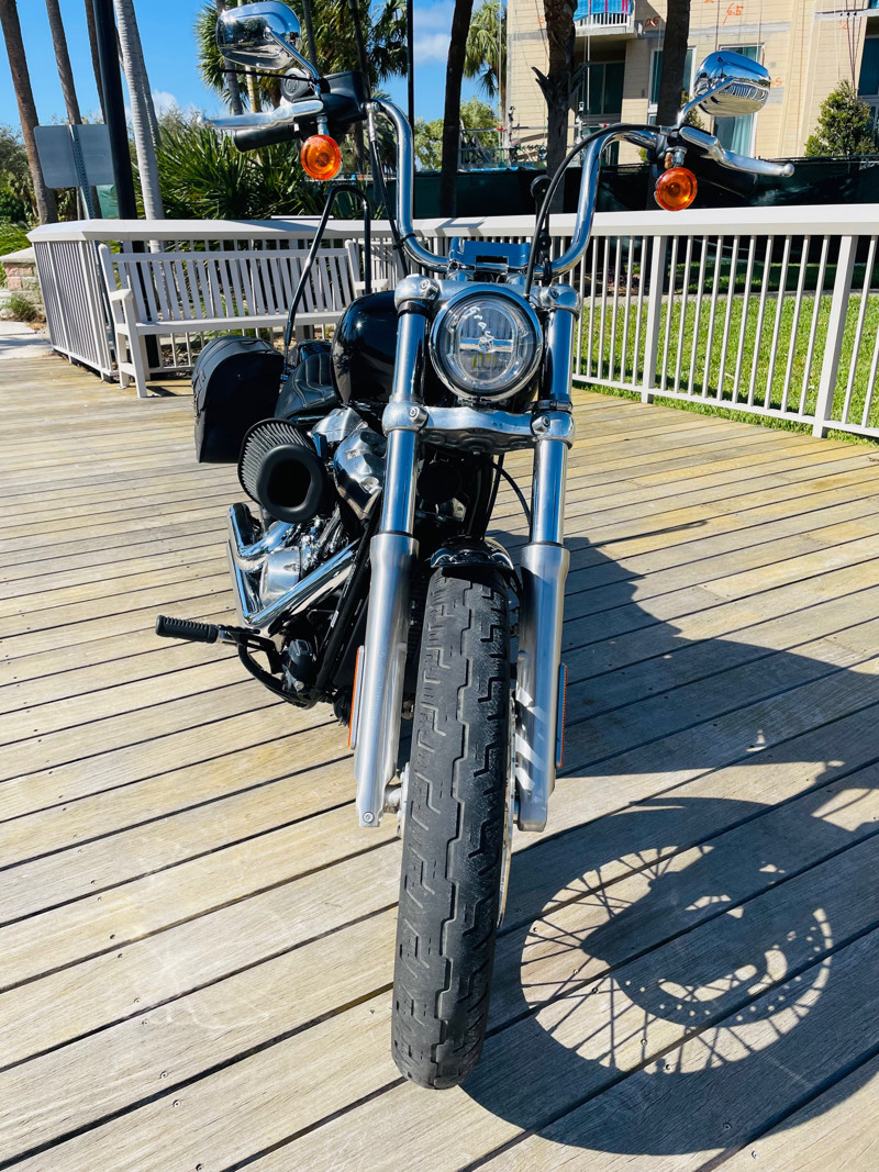 Softail® Standard