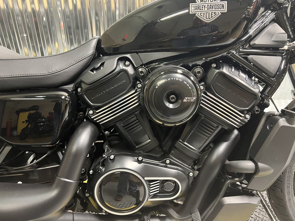 Nightster
