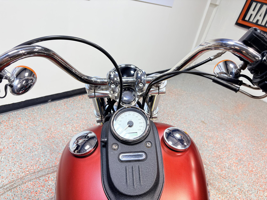 Dyna® Street Bob®