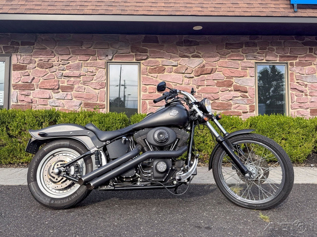 Softail® Night Train®