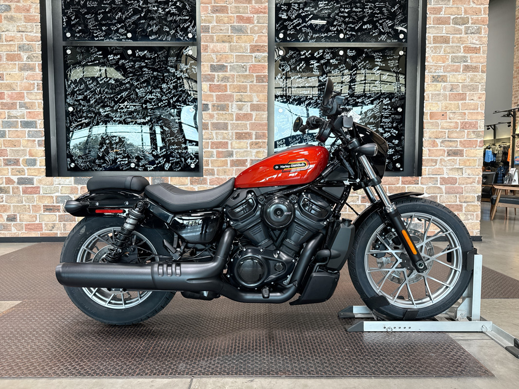 Nightster Special