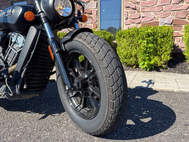 Scout Bobber