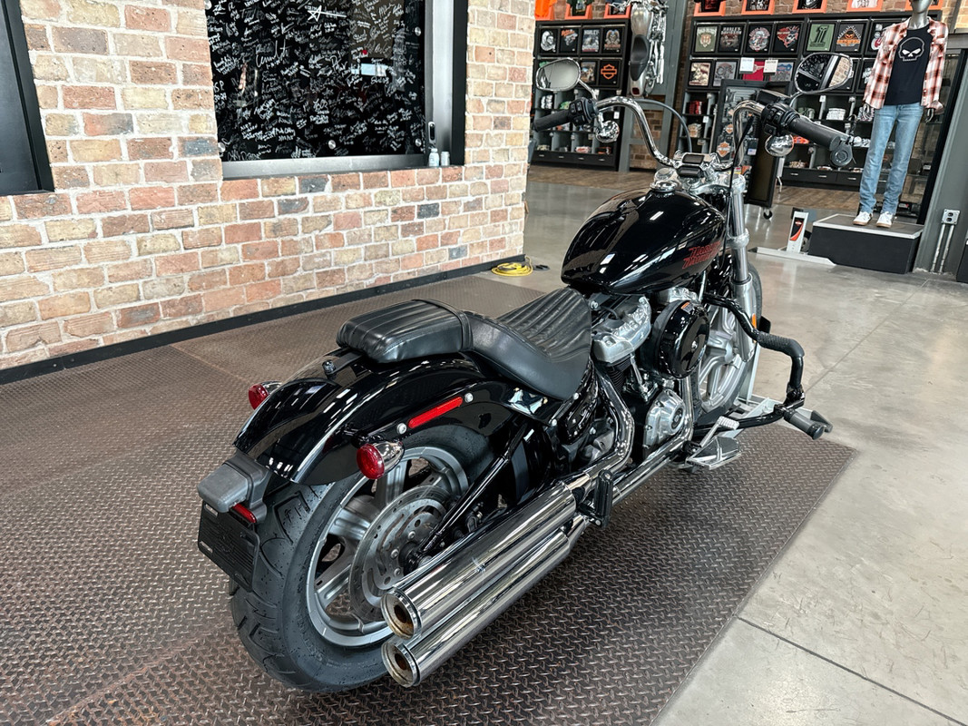 Softail® Standard