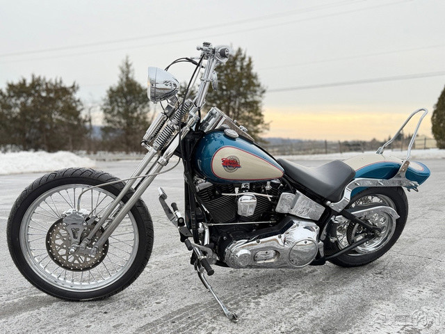 Springer® Softail®