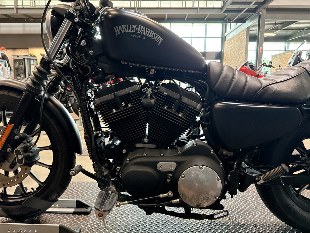 Sportster® Iron 883®