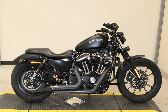 Sportster® Iron 883®