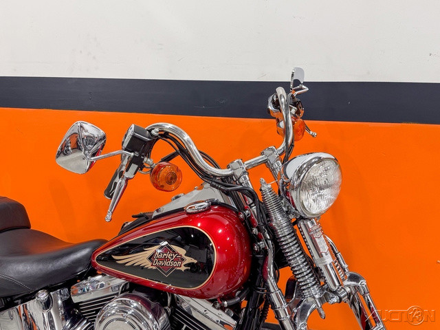 Springer® Softail®