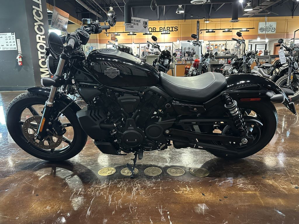 Nightster