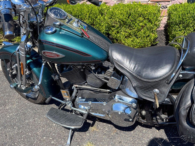 Softail® Springer® 