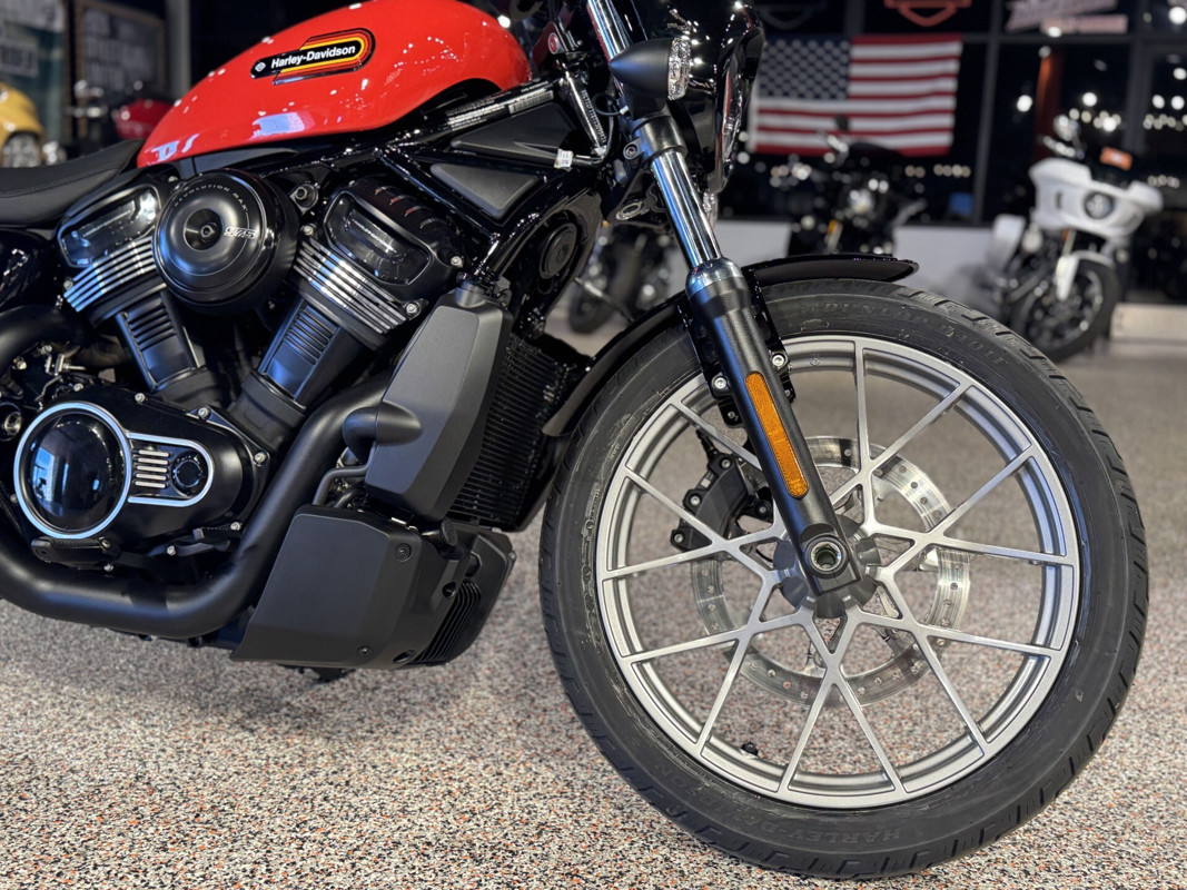 Nightster Special