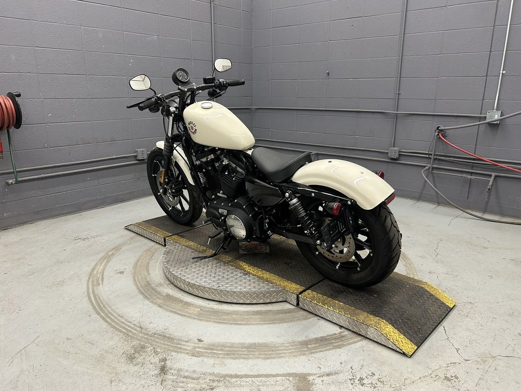 Iron 883®