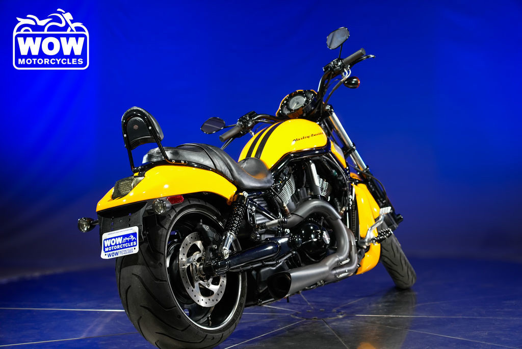 Night Rod® Special