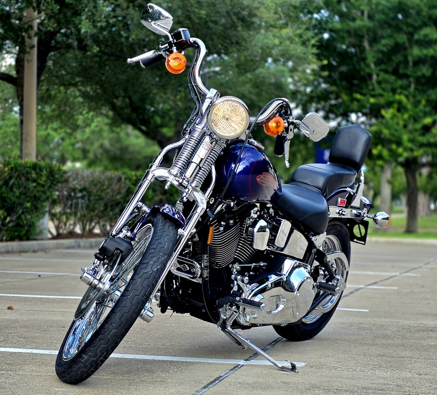 Springer® Softail®