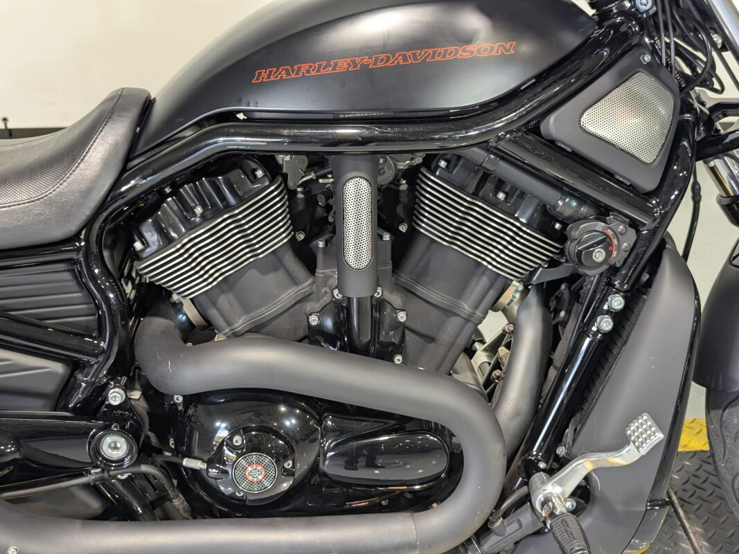 V-Rod® Night Rod® Special
