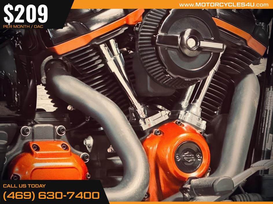 Softail® Standard