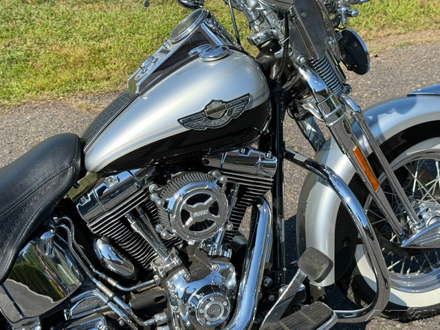 Heritage Springer® Anniversary
