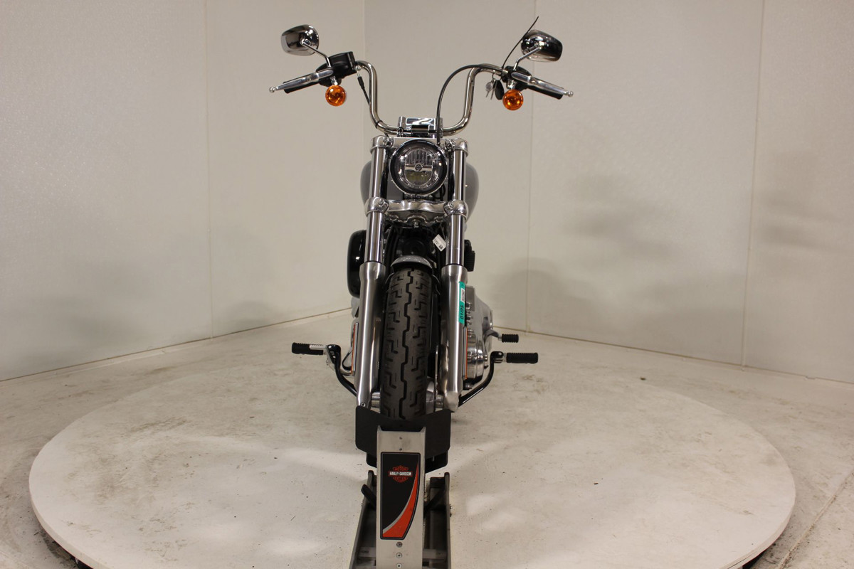 Softail® Standard