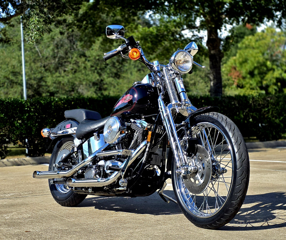 Springer® Softail®