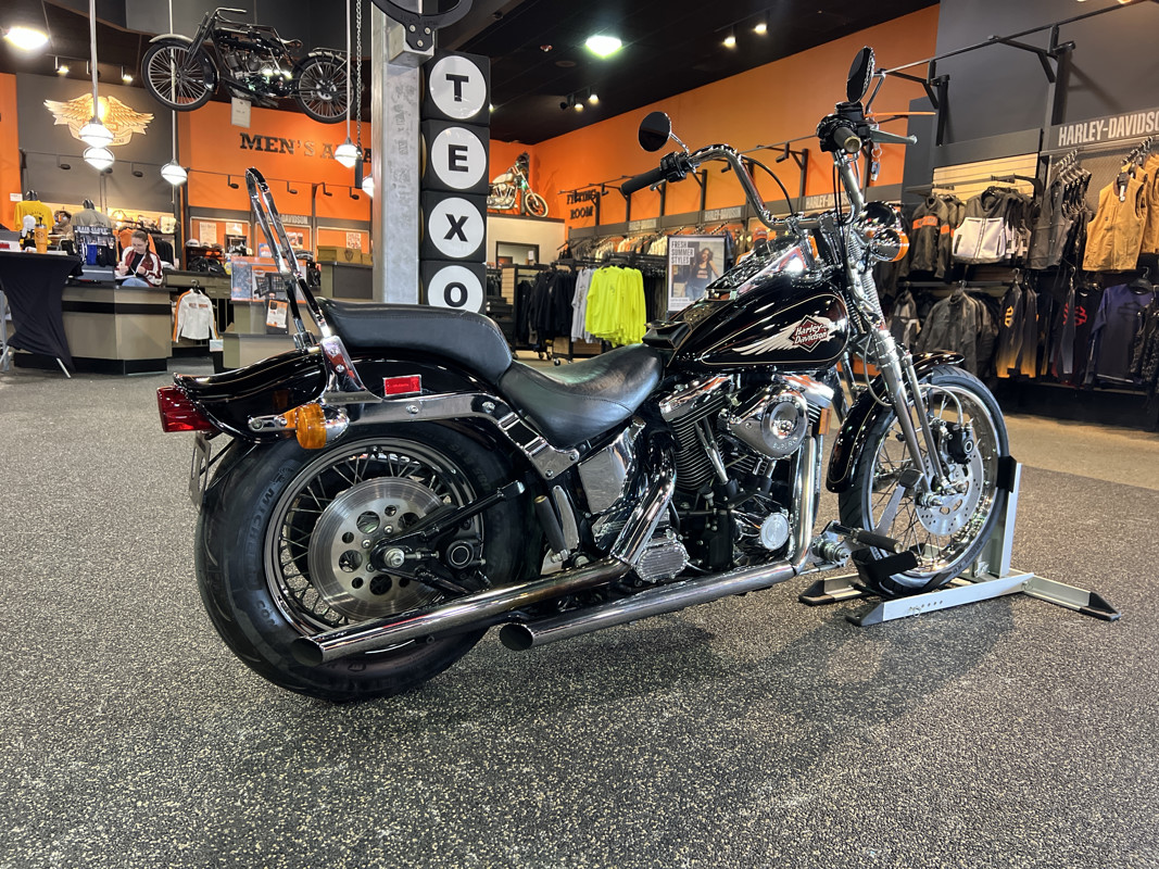 Springer® Softail®