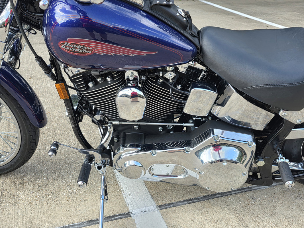 Springer® Softail®