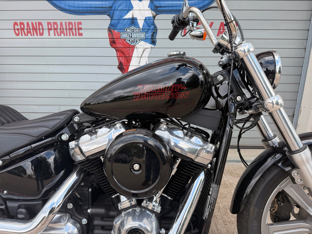 Softail® Standard