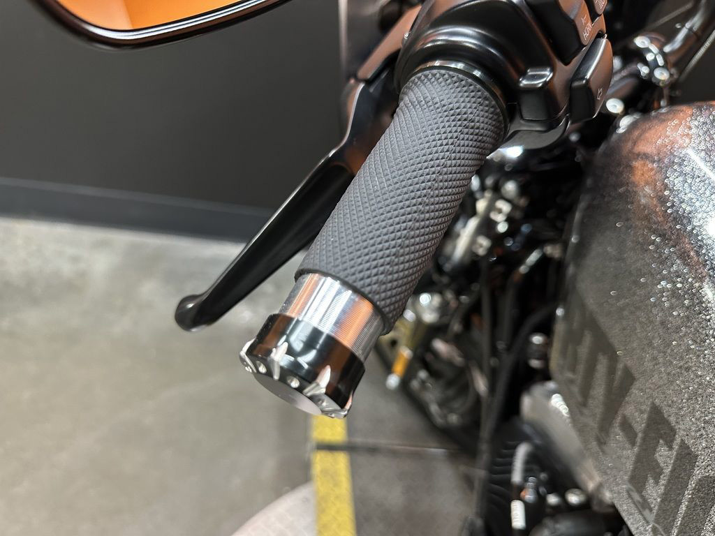 Sportster® Forty-Eight®