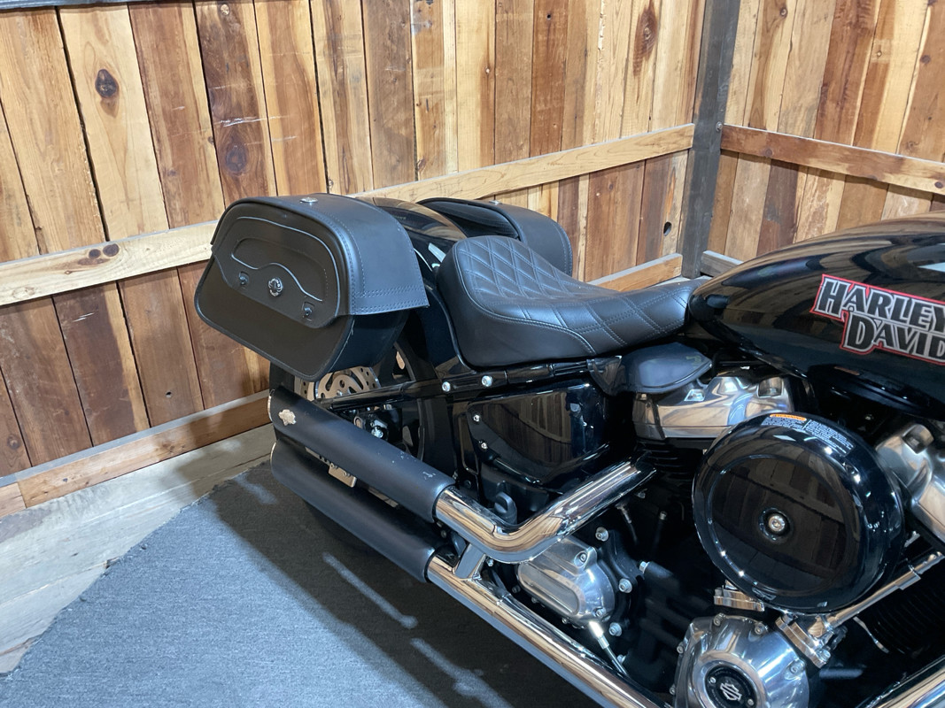 Softail® Standard