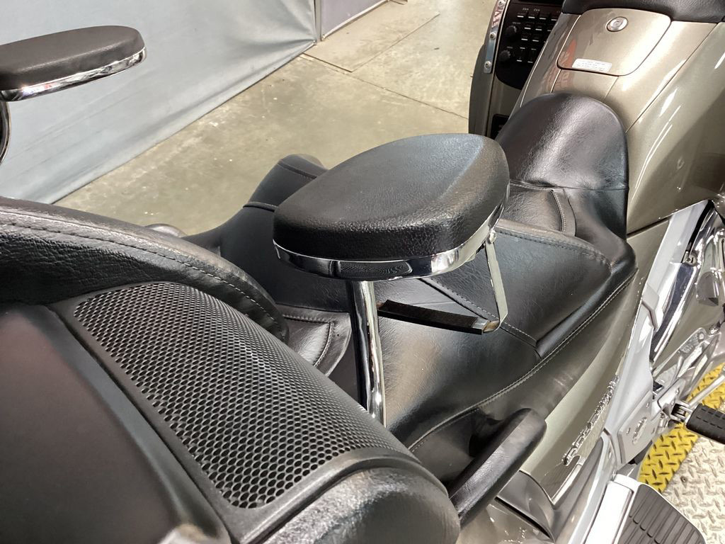 Gold Wing Airbag