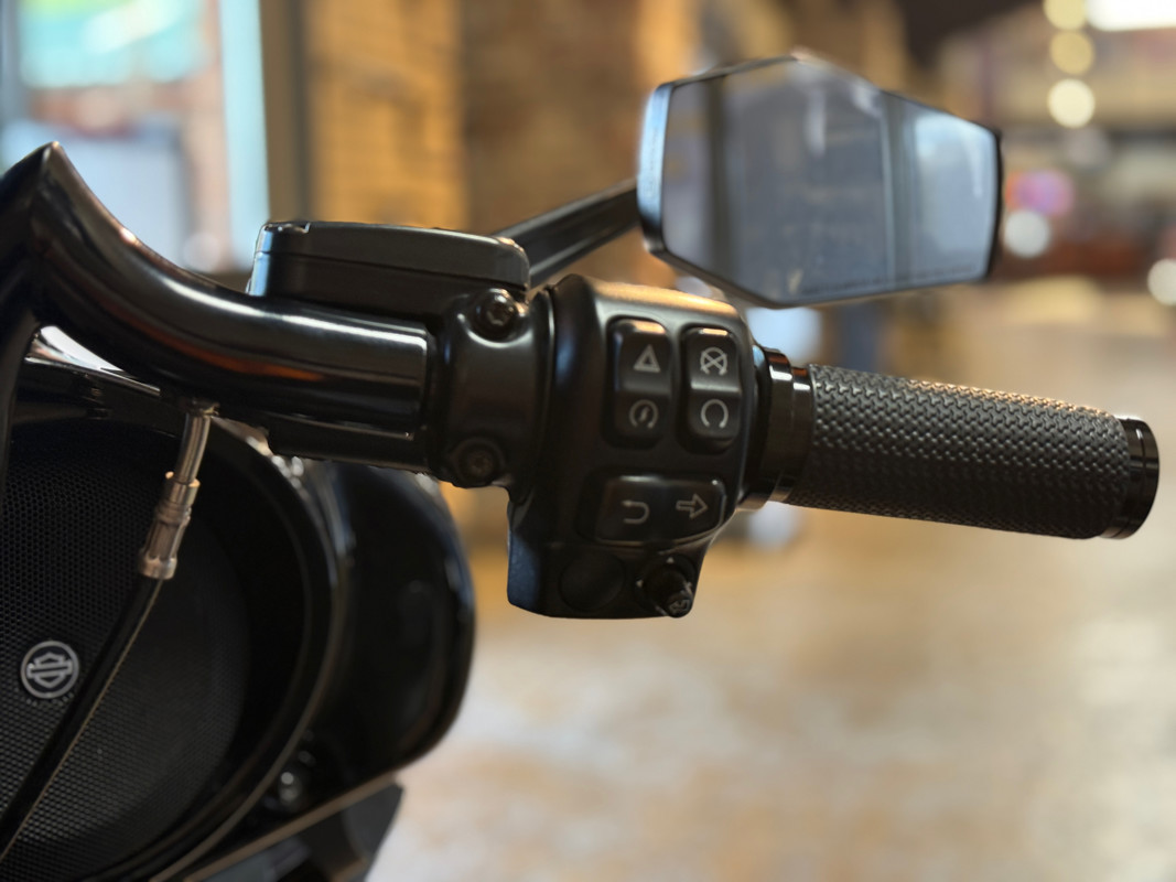 Street Glide® Special